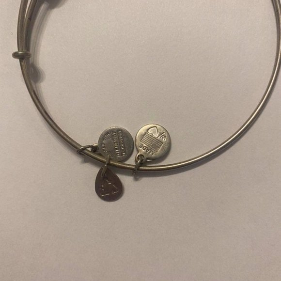 ALEX AND ANI Compass Charm Bangle - Picture 3 of 3